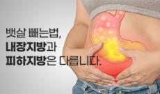 뱃살 빼는법, 내장지방과 피하지방은 다릅니다