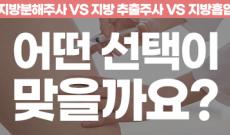 허벅지 지방분해주사 vs 지방 추출주사 vs 지방흡입, 어떤 선택이 맞을까요?