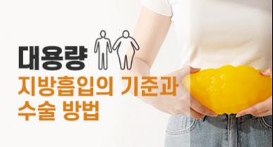 대용량 지방흡입의 기준과 수술 방법