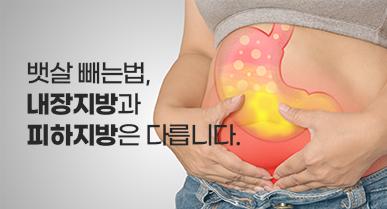 뱃살 빼는법, 내장지방과 피하지방은 다릅니다