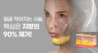 얼굴 작아지는 시술, 핵심은 지방의 90% 제거!